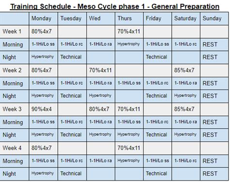 8 week mma training program
