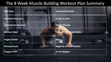 8 Week Workout Plan Free