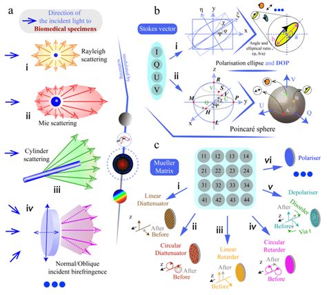 8. The Interaction of Light and Matter: and n - Brown University