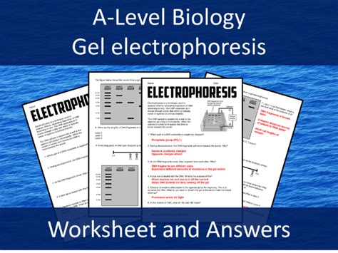 8.3: Electrophoresis - Biology LibreTexts - wintechmobiles.com