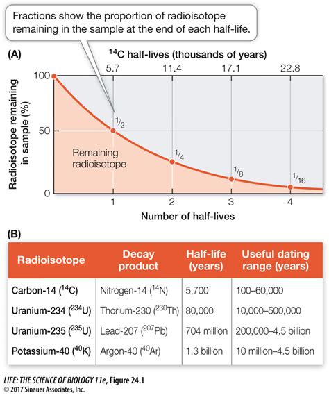 8.3: Half-life of radioisotopes - Chemistry LibreTexts - wintechmobiles.com