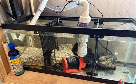 8.6. Sump Filters - Aquarium Science