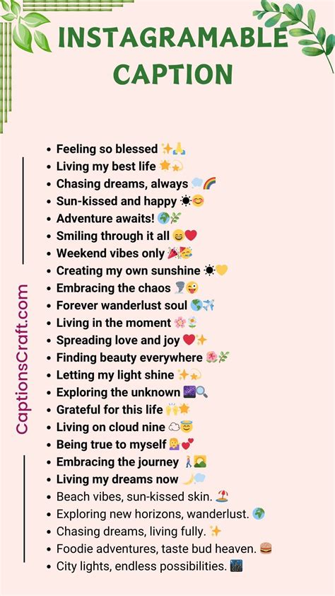 80+ Instagram Caption Ideas & Examples for Any … - coolestguyplanet.net
