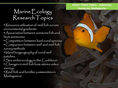 80 Marine Science Research Topics Dissertation Help Uk Marine Science Experiment Ideas - Marine Science Experiment Ideas
