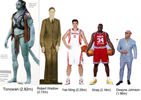 800cm In Feet