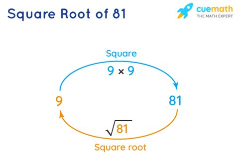 81 Squared Is It Rational Or Irrational