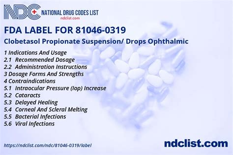 81046 Halı ve Koltuk Yıkama