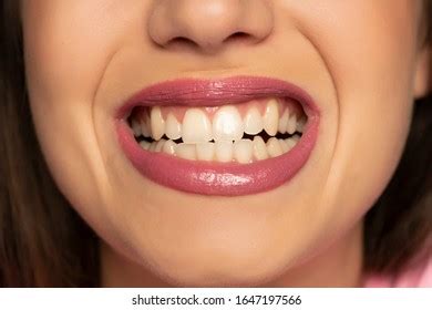 817 Gnashing teeth Images, Stock Photos & Vectors