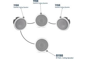 8198 Halı ve Koltuk Yıkama
