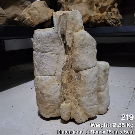82kg In Stone
