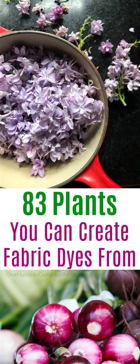 83 Plants You Can Create Fabric Dyes From - raincitystudios.com