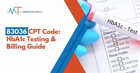 83036 Halı ve Koltuk Yıkama