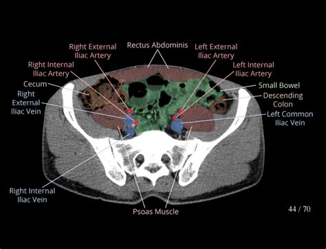 839 Lower Abdomen Premium High Res Photos - Getty Images