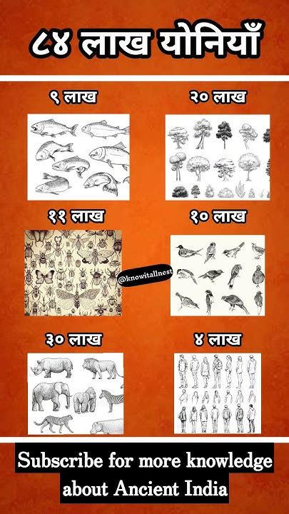 84 Lakh Yoni