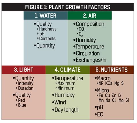 84 Top Quot Factors Affecting Plant Growth Worksheet Plant Growth Worksheet - Plant Growth Worksheet