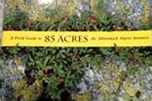 85 acres a field guide to the adirondack alpine summits. - 100 success guide for 10 class.