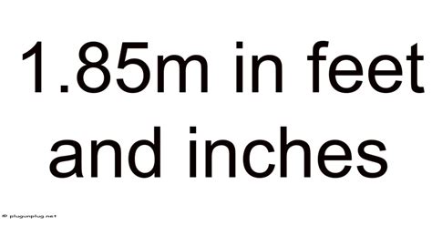 85m To Feet