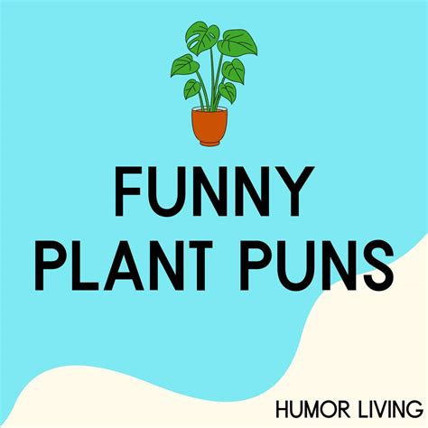 86 Best plant puns ideas in 2024 plant puns, flower pots, plants