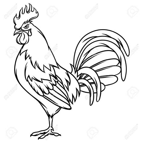 860 Outline Of Rooster Clip Art Royalty Free - GoGraph