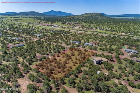 86046 Halı ve Koltuk Yıkama