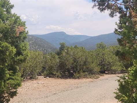 87043 Halı ve Koltuk Yıkama