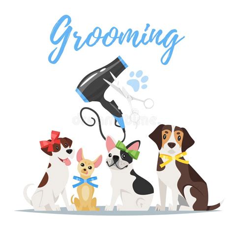 880 Clip Art Of Pet Grooming Illustrations & Clip Art - iStock