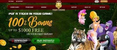 888 tiger casino no deposit bonus codes 2019 Online Casino spielen in Deutschland