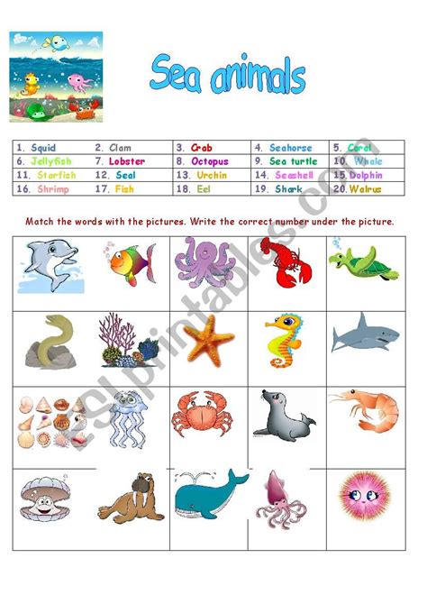89 Sea Animals English Esl Worksheets Pdf Amp Kindergarten Sea Animal Worksheet  - Kindergarten Sea Animal Worksheet`