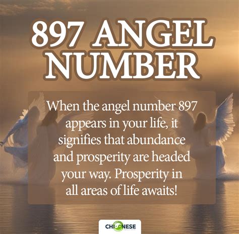 897 Halı ve Koltuk Yıkama