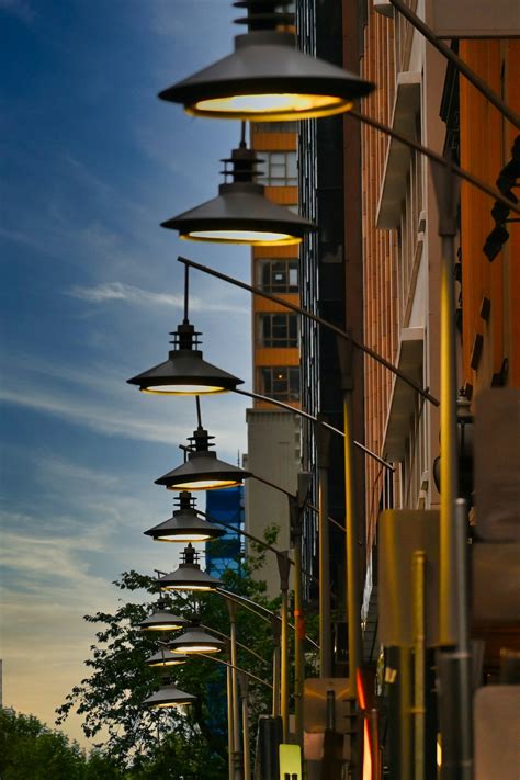 8977 Halı ve Koltuk Yıkama