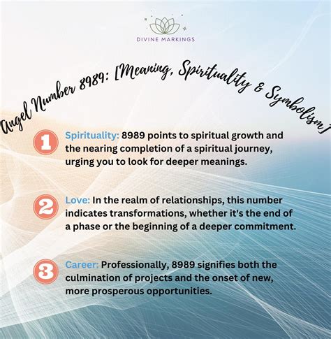 8989 Halı ve Koltuk Yıkama