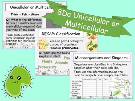 8da Unicellular Or Multicellular Organisms Exploring Science Tes Unicellular Vs Multicellular Organisms Worksheet - Unicellular Vs Multicellular Organisms Worksheet