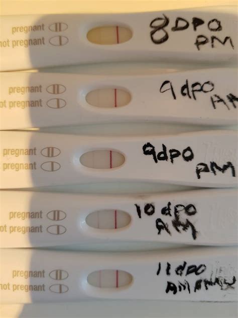 8dpo bfp symptoms. Yes, at 9 DPO, implantation can happen. Usually implantation happens between 6 to 12 DPO, so 9 DPO implantation is pretty average. But if you do have any implantation symptoms, like cramping, spotting, or a basal body temperature dip, it might be too early to test. Usually, it takes your body a few days after implantation to get those hCG ... 