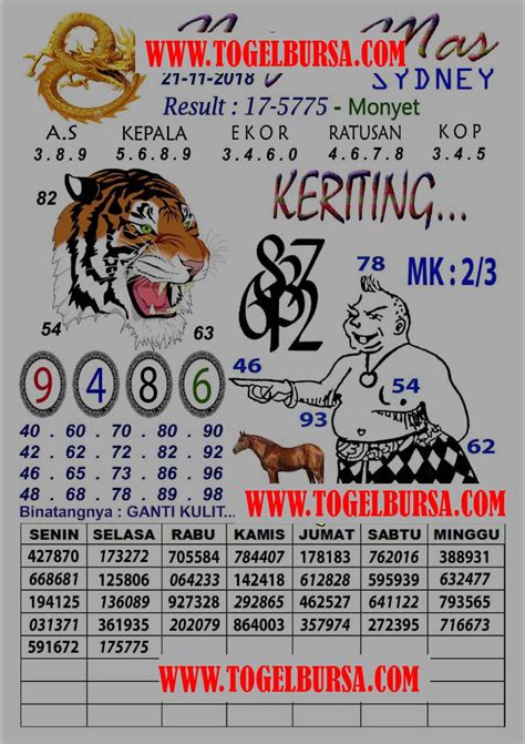 8togel Sdy