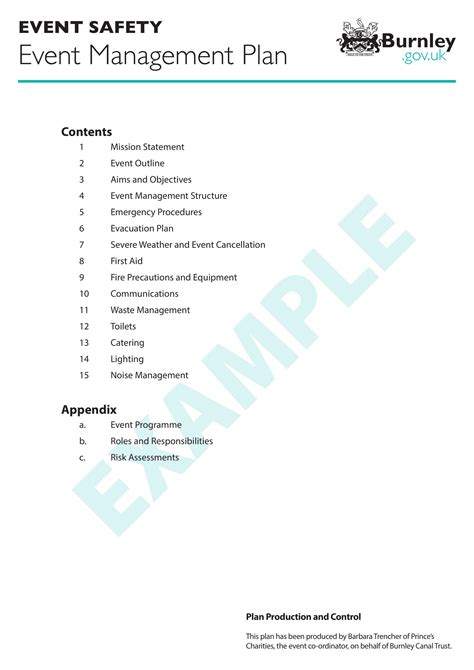 9+ Event Project Plan Examples PDF Examples