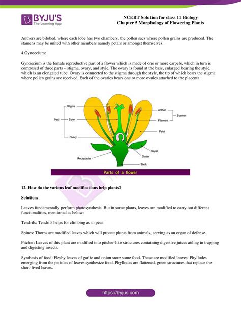9 10 Flowering Plants Biology Libretexts Science Of Flowers - Science Of Flowers