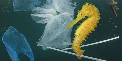 9 Ancaman Terbesar yang Dihadapi Laut dan Isinya … - raincitystudios.com