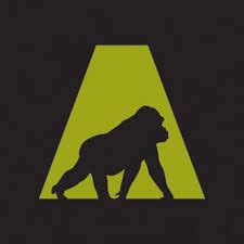 9 Best Charities for Protecting Apes (Complete 2026 List) - raincitystudios.com