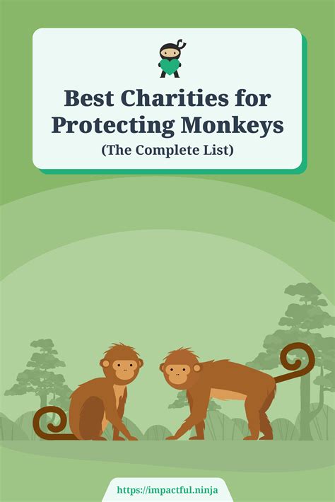 9 Best Charities for Protecting Orangutans (Complete … - raincitystudios.com