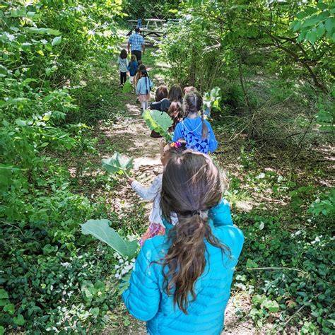 9 Best Educational Nature Walks for Experiential … - raincitystudios.com