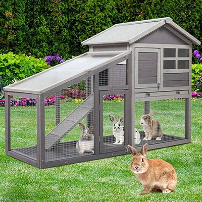 9 Best Rabbit Hutch Selections For Your Outdoor … - raincitystudios.com
