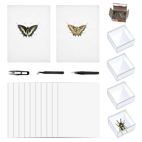 9 Best Specimen Preservation Kits for Science Enthusiasts and ... - raincitystudios.com