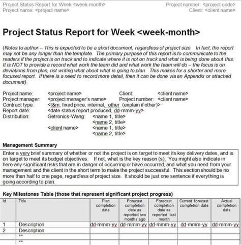 9 Basics Of Weekly Status Report SampleTemplatess SampleTemplatess