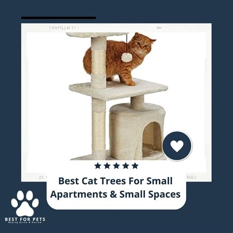 9 Best Cat Trees For Small Apartments & Small Spaces in 2024