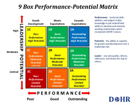 9 Box Performance Potential Matrix Template boxjulf