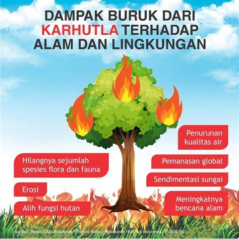 9 Cara Cegah Kebakaran Hutan - raincitystudios.com