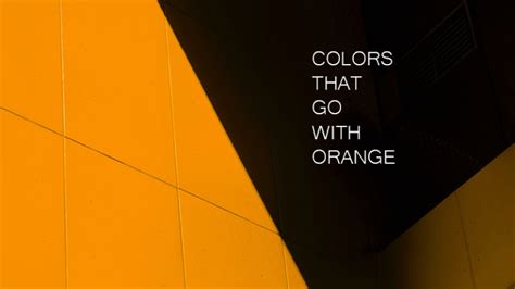 9 Colors That Go Well With Orange (Updated 2024)