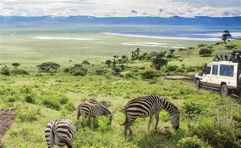 9 Days - Lake Manyara, Serengeti (4 nights), Ngorongoro Crater …