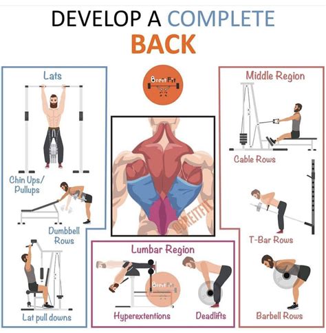 9 Exercises for a Complete Back
