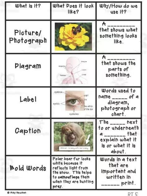 9 Great Anchor Chart To Teach Text Features The Teach Simple Blog